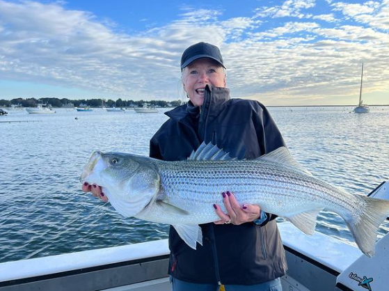 Plymouth Striped Bass Special In Plymouth