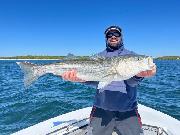 Plymouth Striped Bass Special In Plymouth