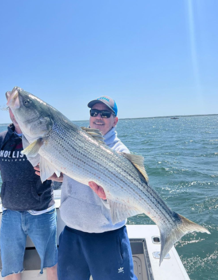 Plymouth Striped Bass Special In Plymouth