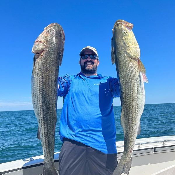 Plymouth Striped Bass Special In Plymouth