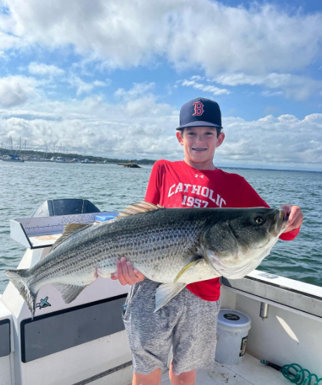 Plymouth Striped Bass Special In Plymouth