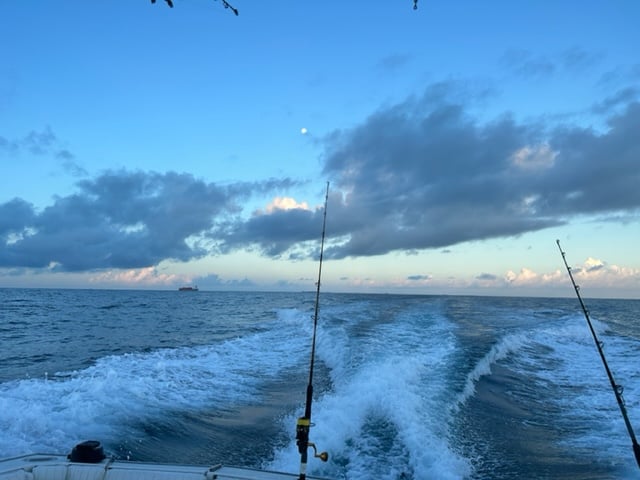 Port A  Deep Sea Reel Fisher In Port Aransas