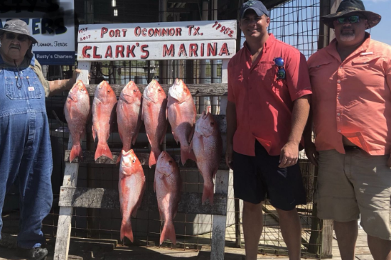 Full Day Offshore - 36' Contender In Port O'Connor