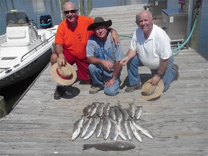 Orange Beach Catch In Gulf Shores