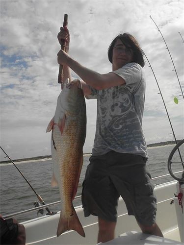 Orange Beach Catch In Gulf Shores