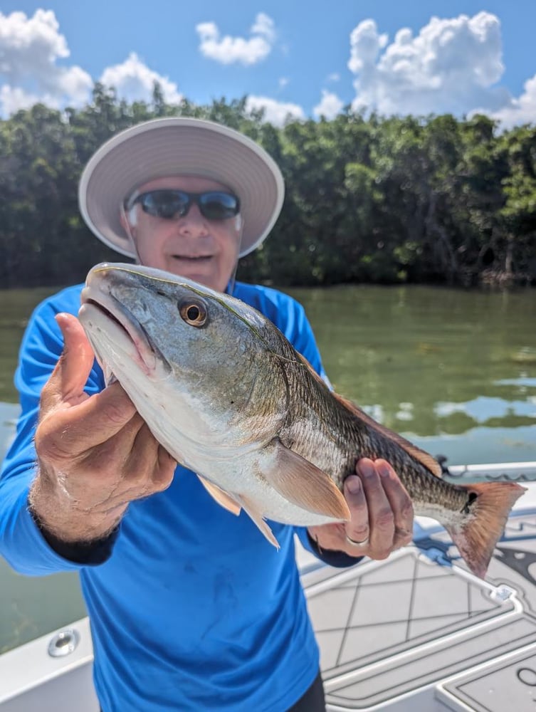 Tampa Bay Inshore Fishing In Ruskin