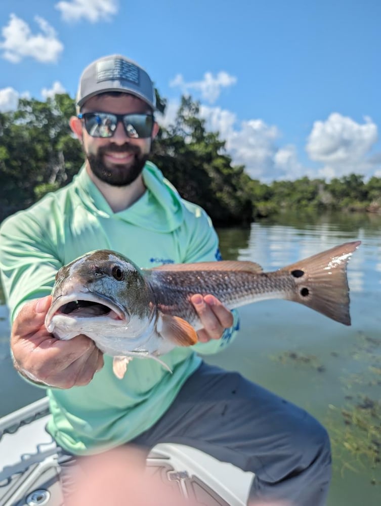 Tampa Bay Inshore Fishing In Ruskin