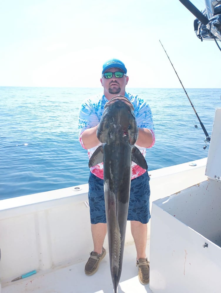 Nearshore Dauphin Island Adventure In Dauphin Island