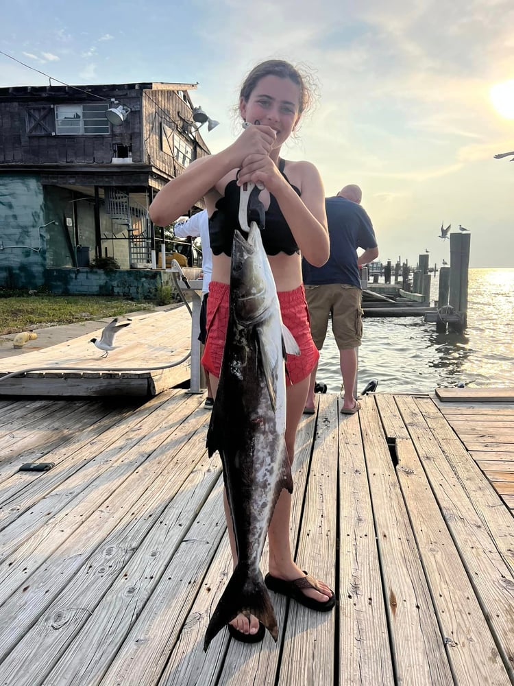 Nearshore Dauphin Island Adventure In Dauphin Island