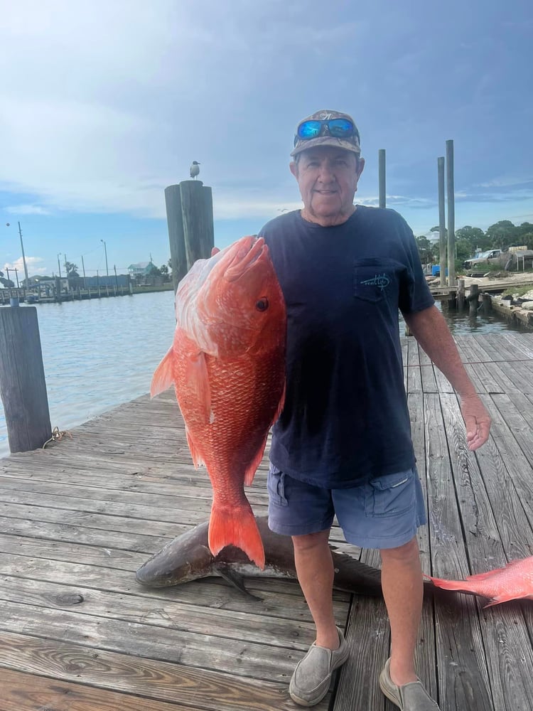 Nearshore Dauphin Island Adventure In Dauphin Island