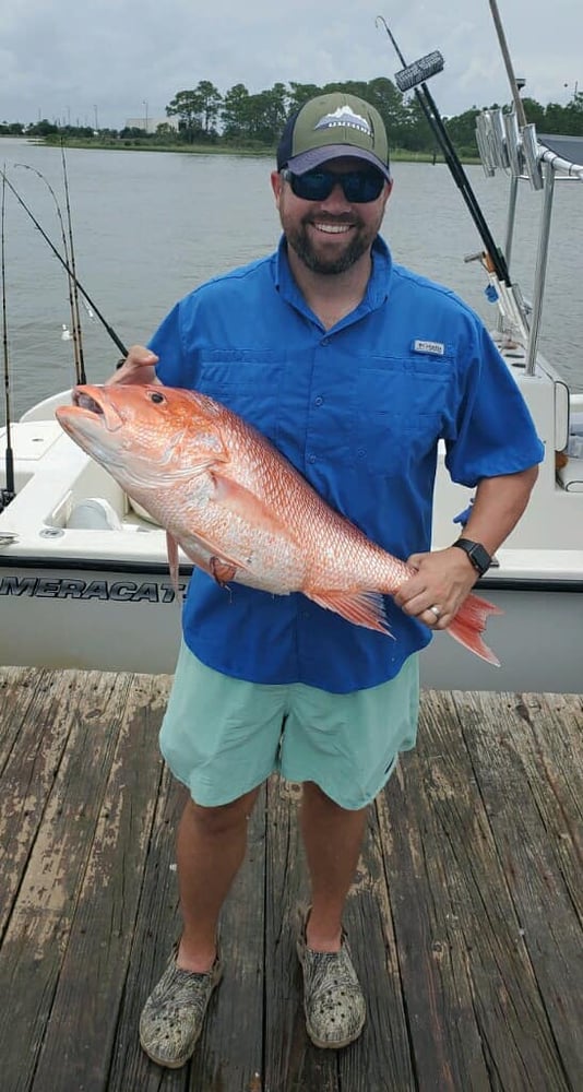 Nearshore Dauphin Island Adventure In Dauphin Island