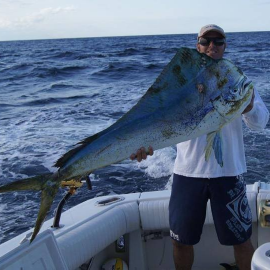 Dauphin Island Offshore Expedition In Dauphin Island