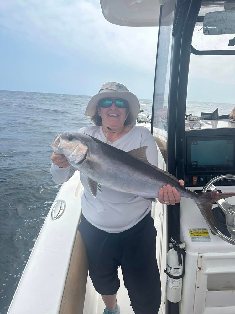 Offshore Adventure - 25' Sea Hunt In Orange Beach