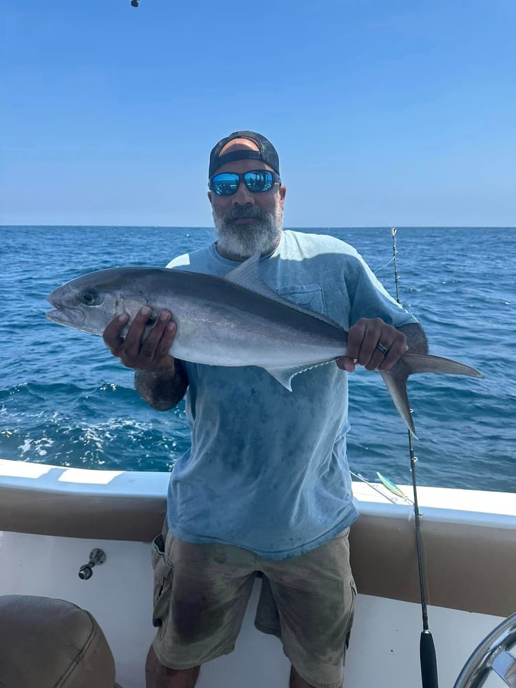 Offshore Adventure - 25' Sea Hunt In Orange Beach