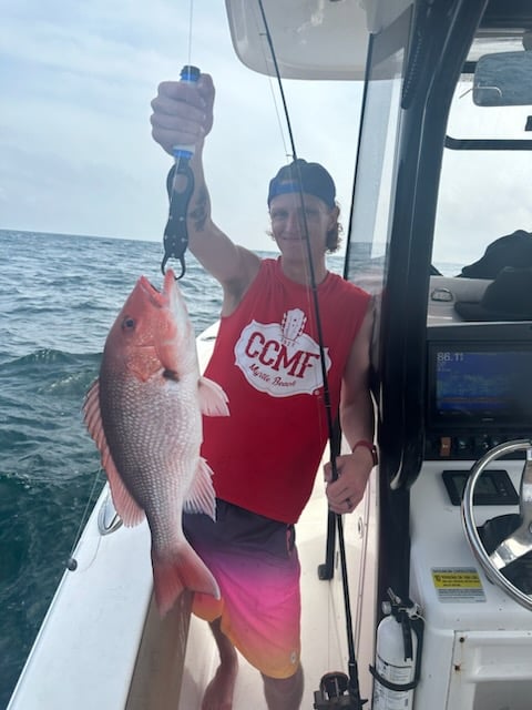 Red Snapper Run - 25' Sea Hunt In Orange Beach