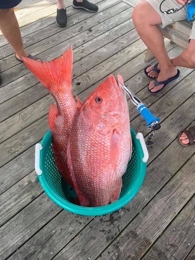 Orange Beach Snapper Slammer- 30' In Orange Beach