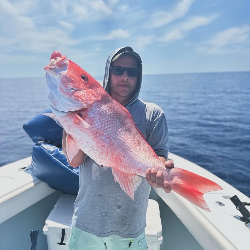 St. Pete Full Day Offshore In Treasure Island