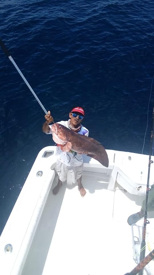 Roosterfish, Grouper, Snapper In Puerto Jiménez