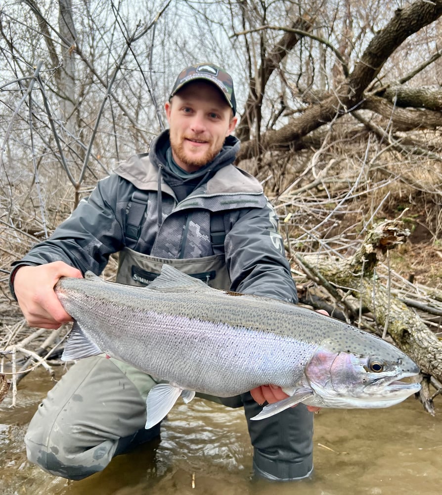 Sheboygan Salmon And Trout In Sheboygan