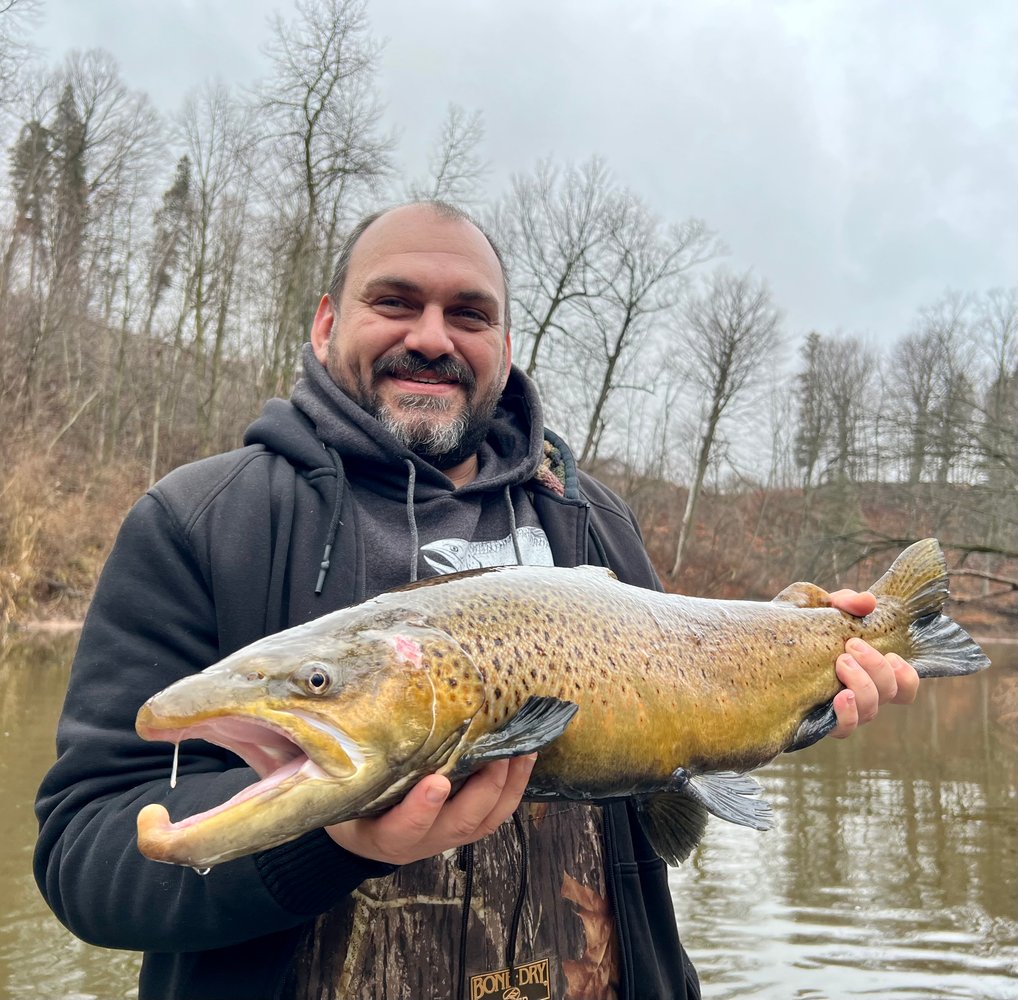 Sheboygan Salmon And Trout In Sheboygan