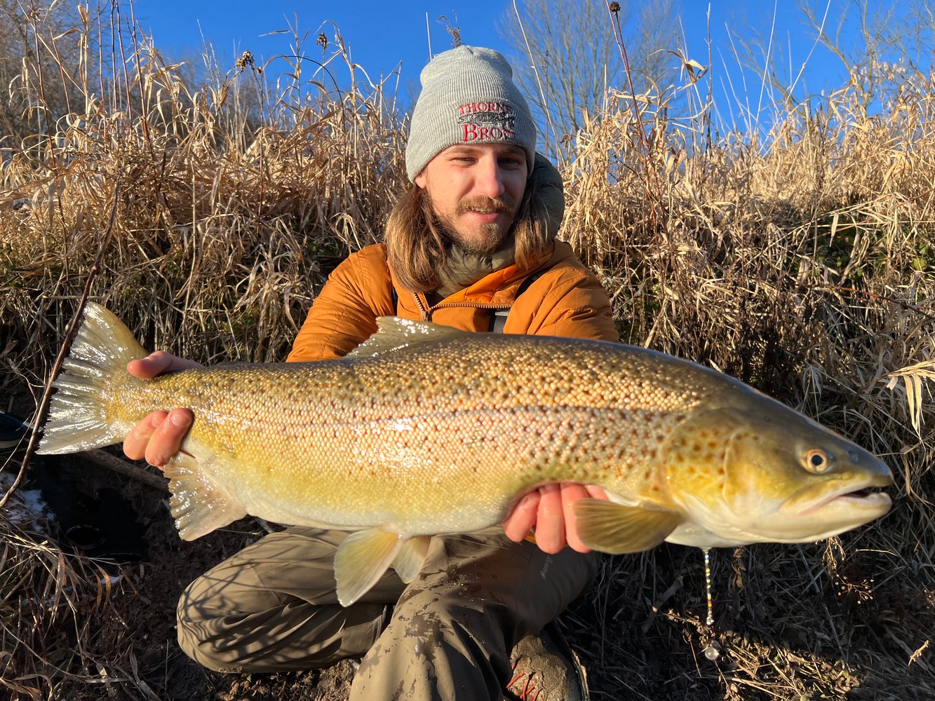 Sheboygan Salmon And Trout In Sheboygan