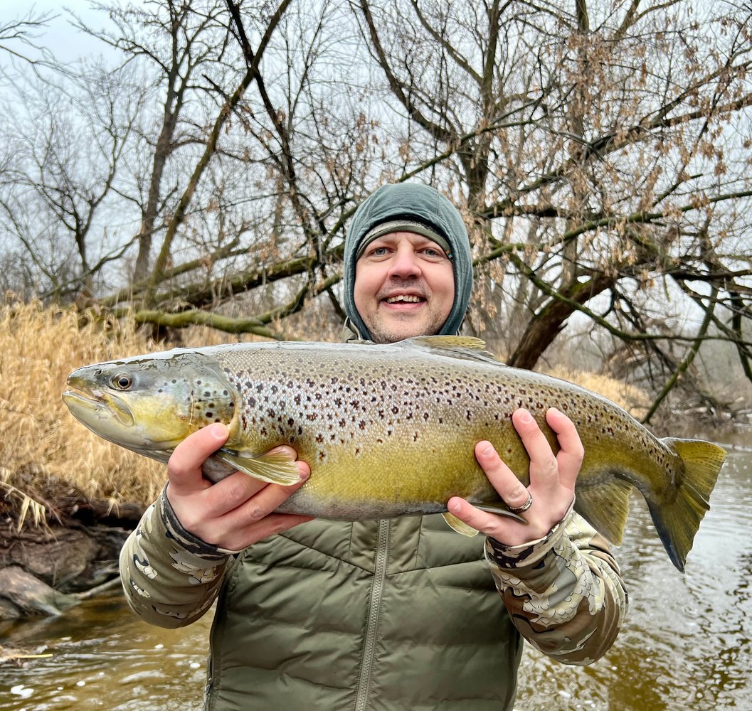 Sheboygan Salmon And Trout In Sheboygan