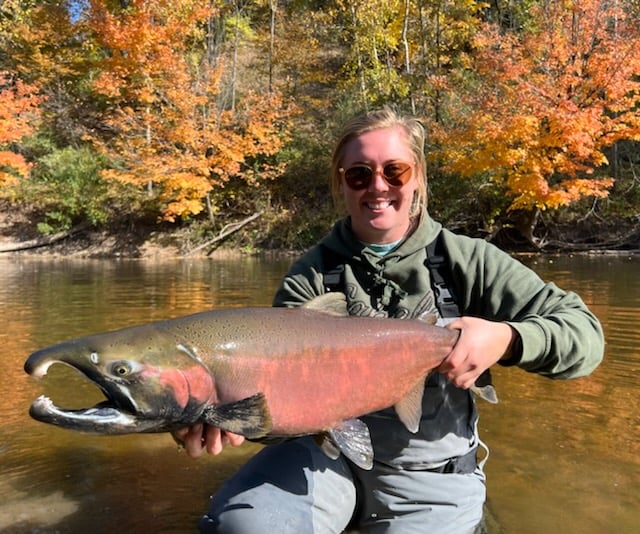 Sheboygan Salmon And Trout In Sheboygan