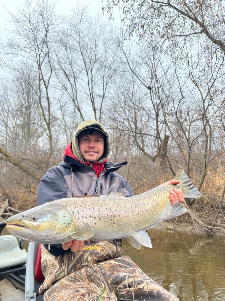 Sheboygan Salmon And Trout In Sheboygan