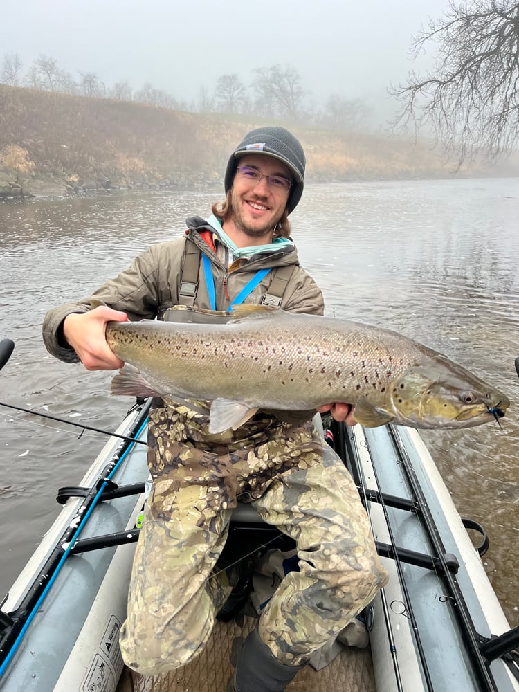 Sheboygan Salmon And Trout In Sheboygan