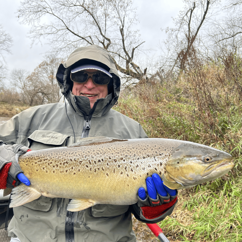 Sheboygan Salmon And Trout In Sheboygan