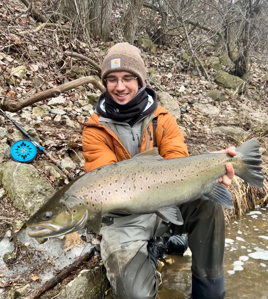 Milwaukee Salmon And Trout In Glendale