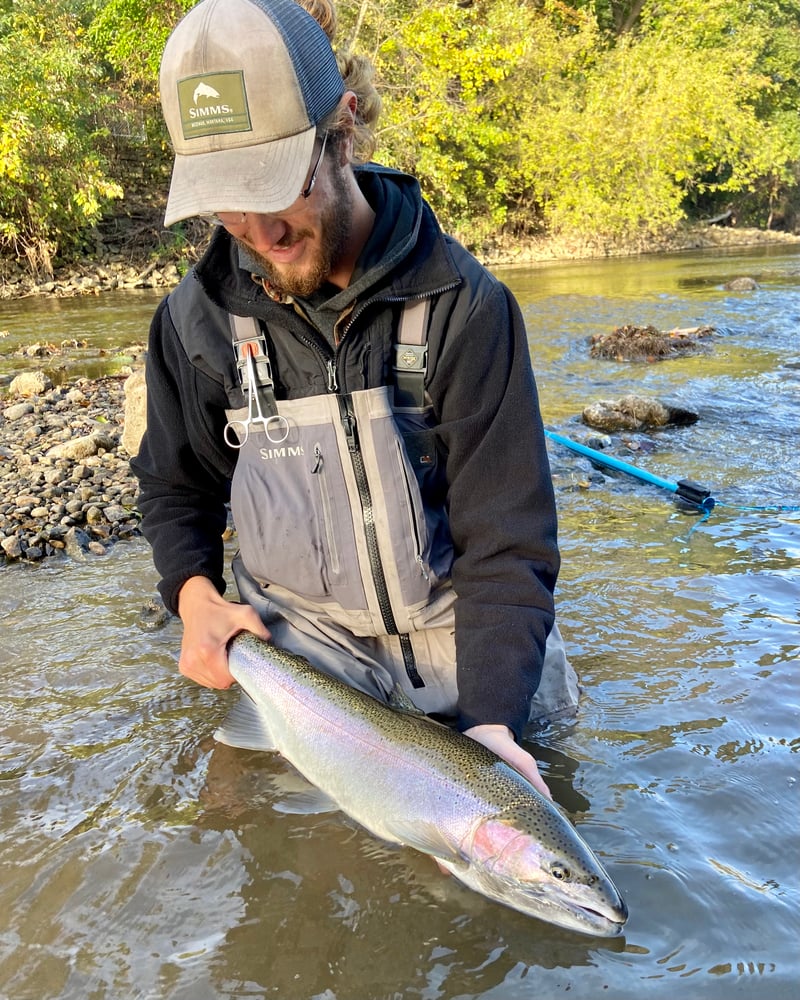 Milwaukee Salmon And Trout In Glendale