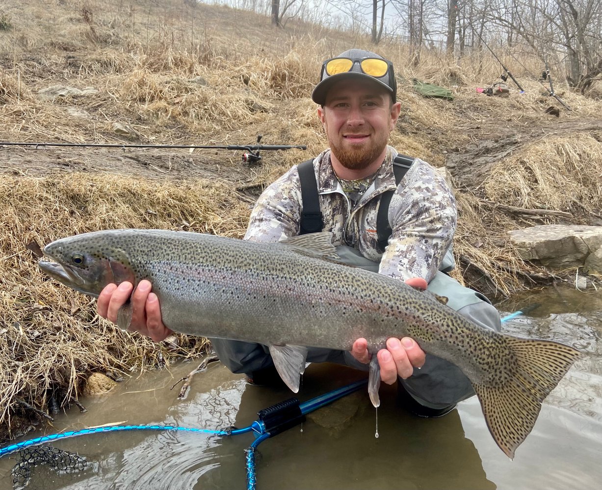 Milwaukee Salmon And Trout In Glendale