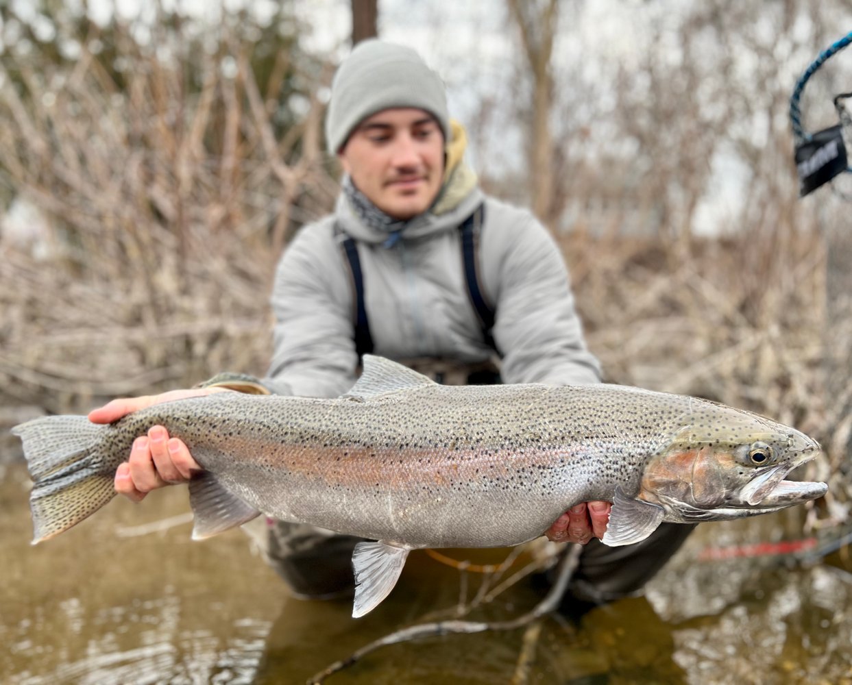 Milwaukee Salmon And Trout In Glendale