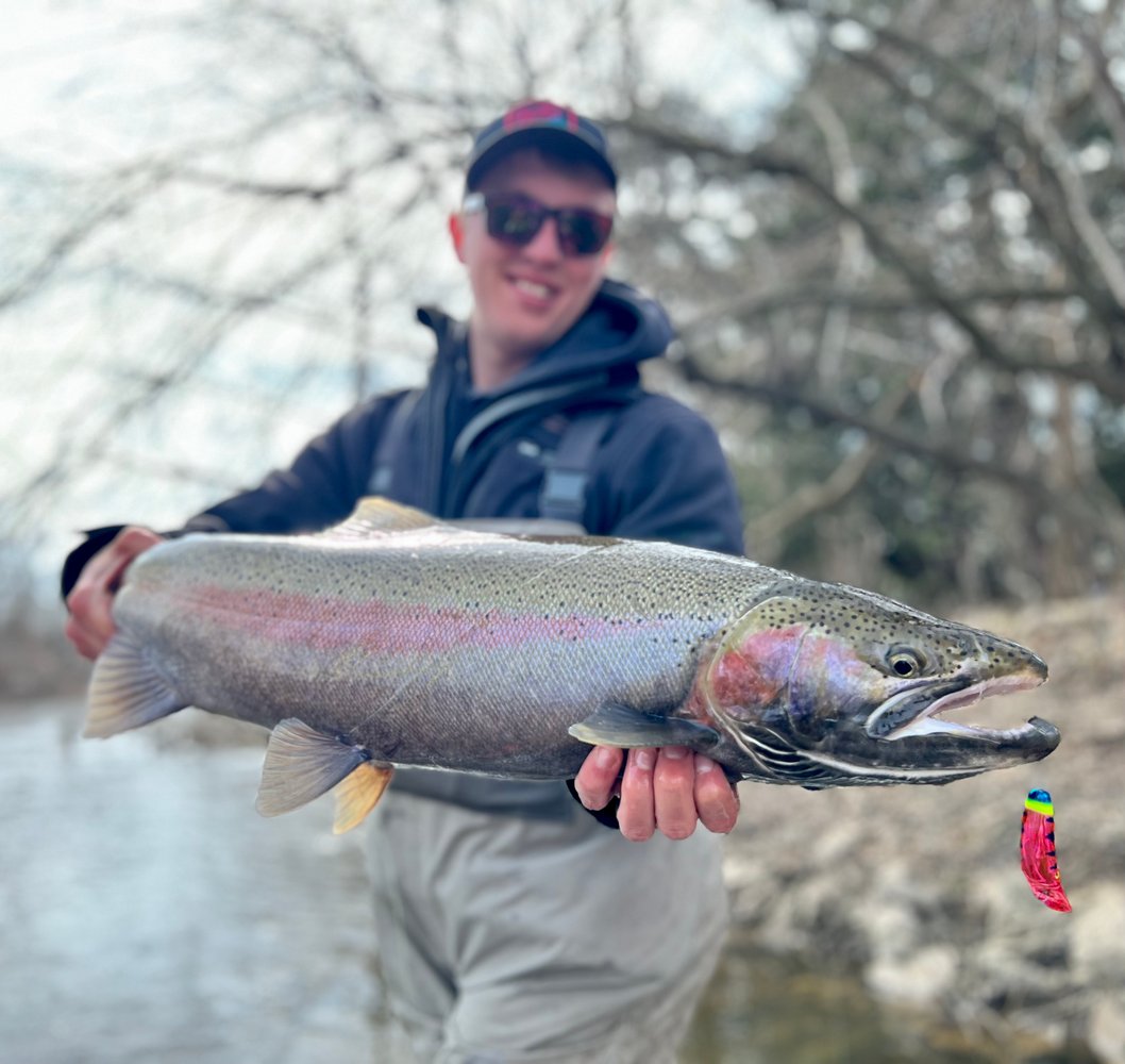 Milwaukee Salmon And Trout In Glendale