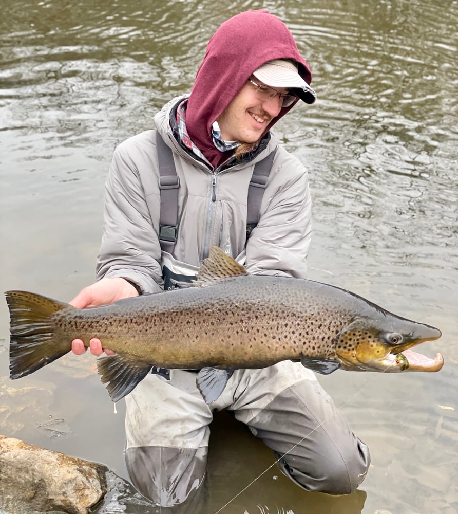 Milwaukee Salmon And Trout In Glendale