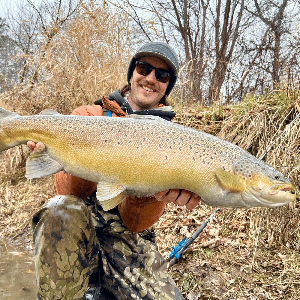 Milwaukee Salmon And Trout In Glendale