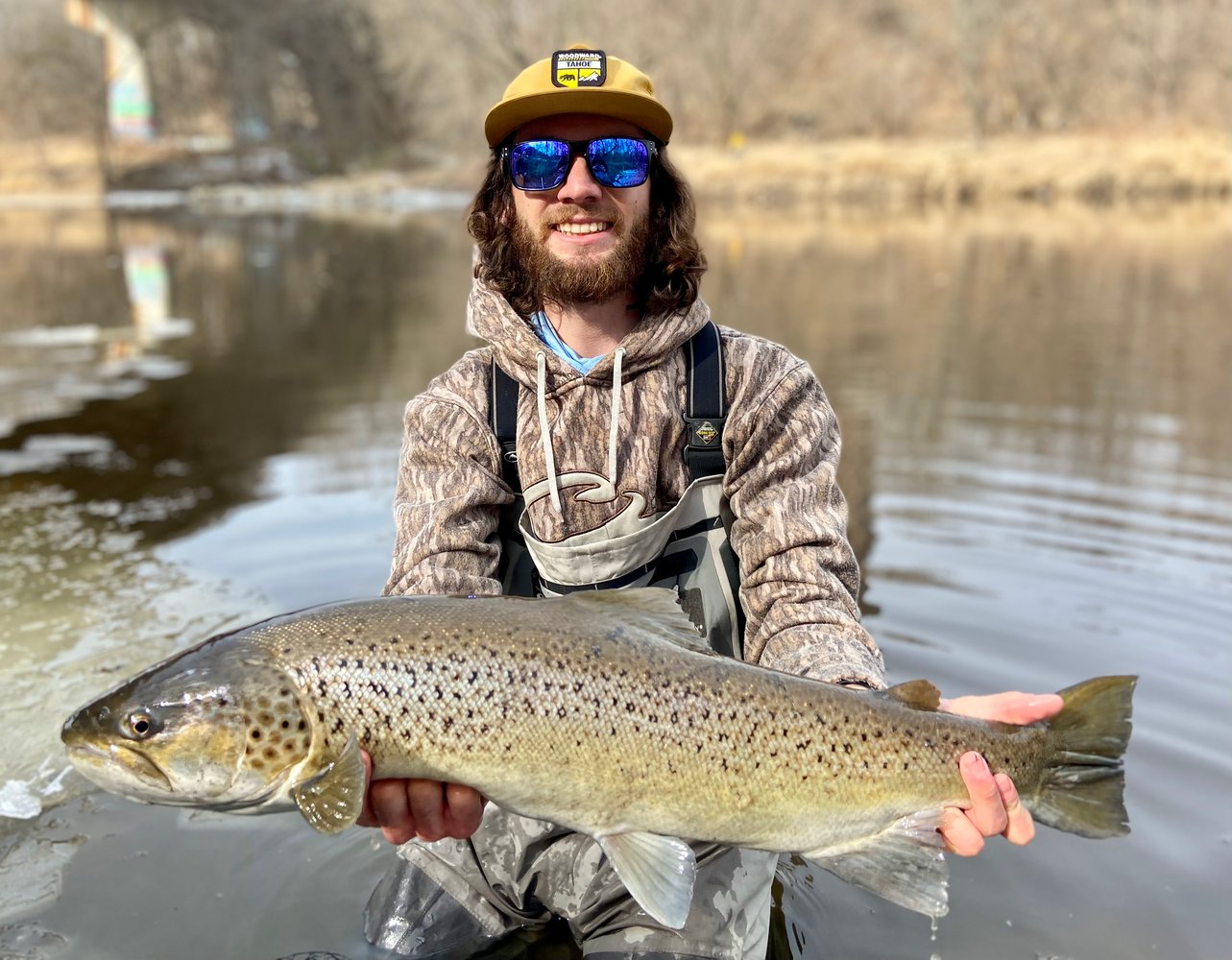 Milwaukee Salmon And Trout In Glendale