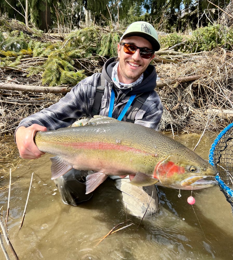 Milwaukee Salmon And Trout In Glendale