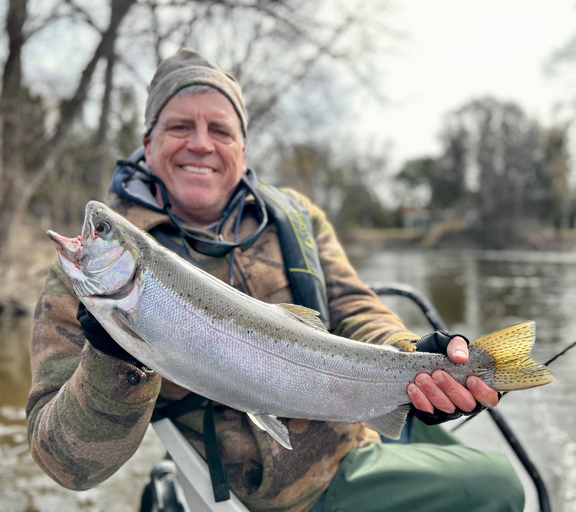 Milwaukee Salmon And Trout In Glendale