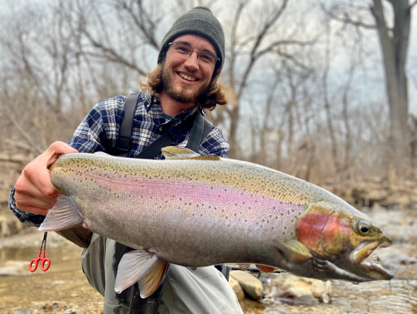 Milwaukee Salmon And Trout In Glendale