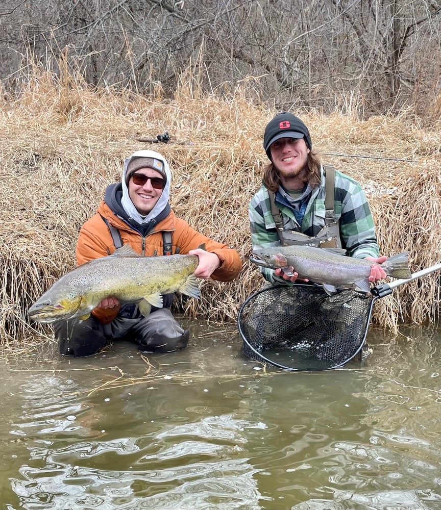 Milwaukee Salmon And Trout In Glendale