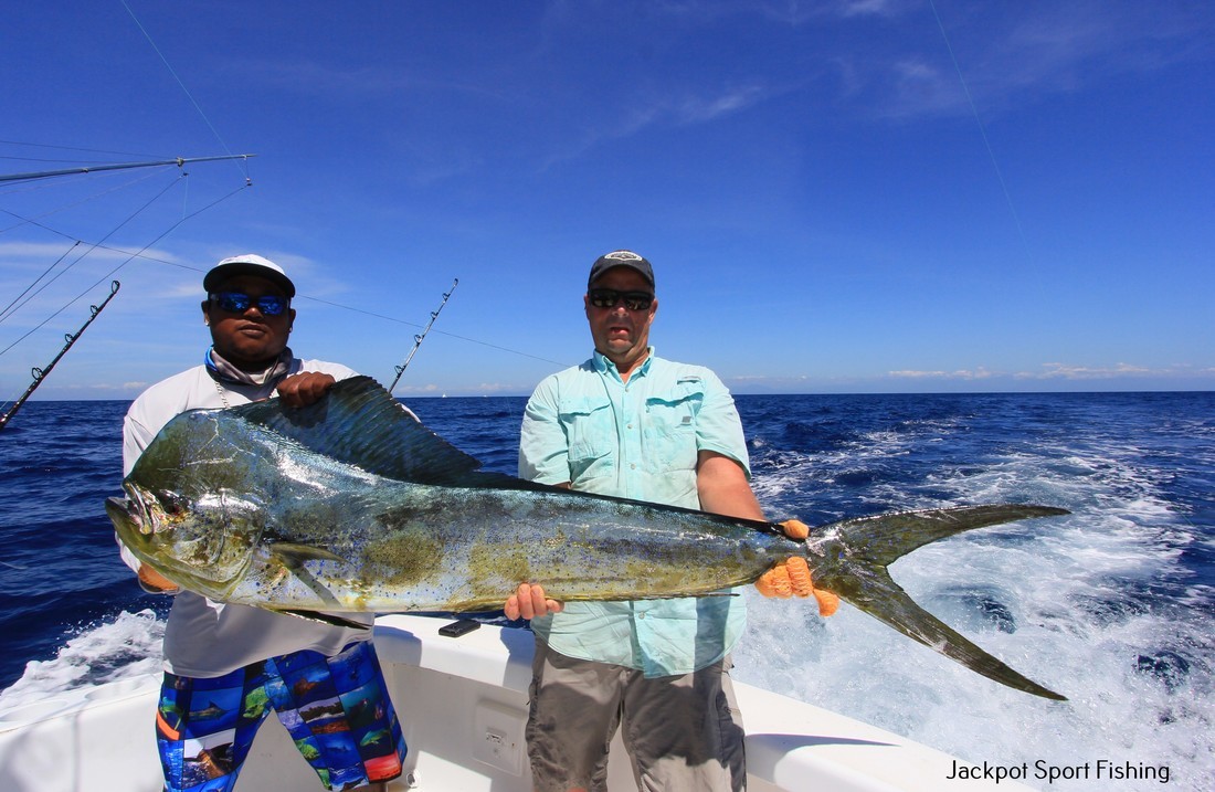 Quepos Offshore In Puerto Jiménez