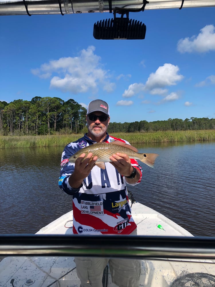 Afternoon Inshore Excitement In Gulf Shores