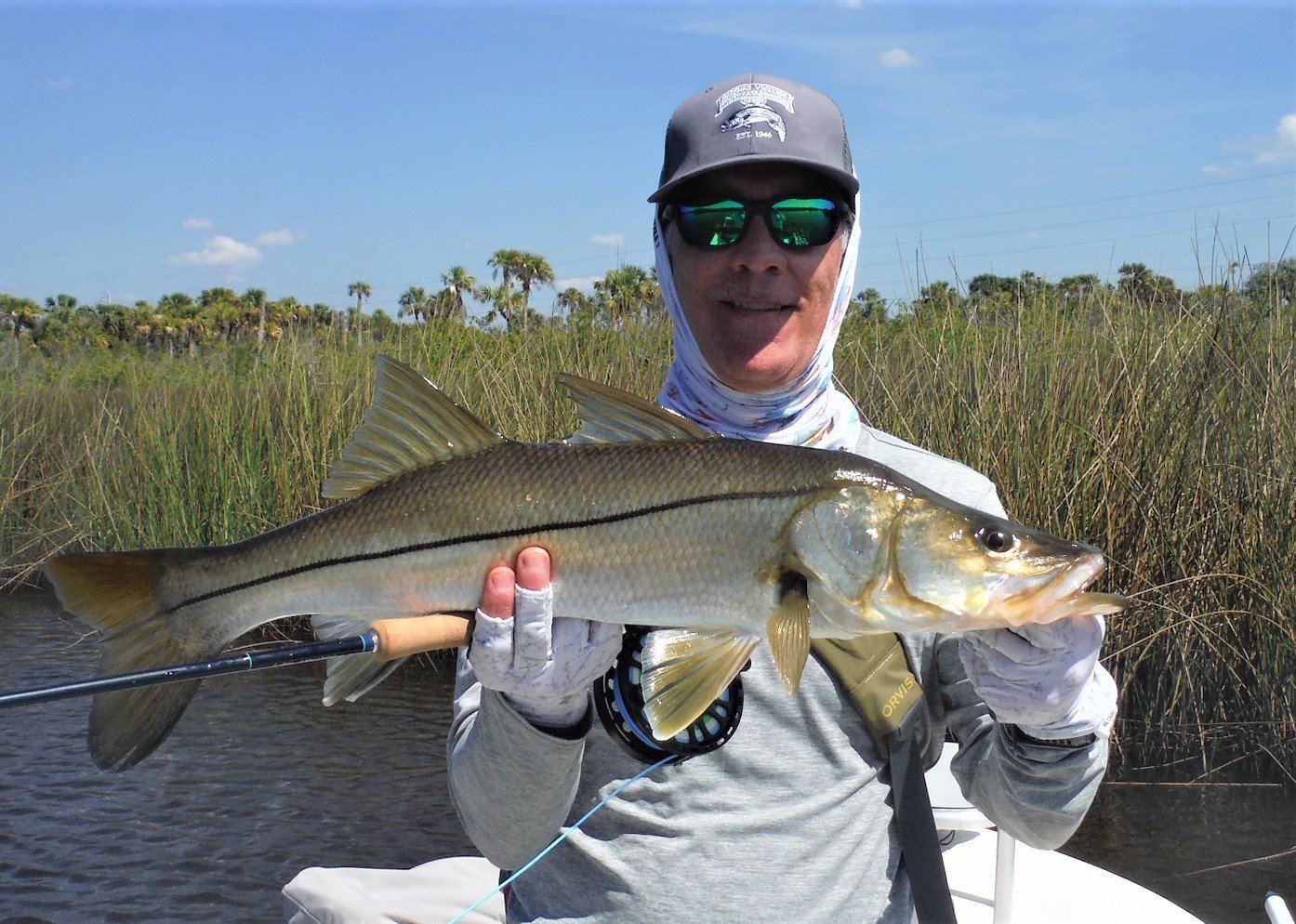 Light Tackle Backcountry - Up To 4 Anglers In Punta Gorda