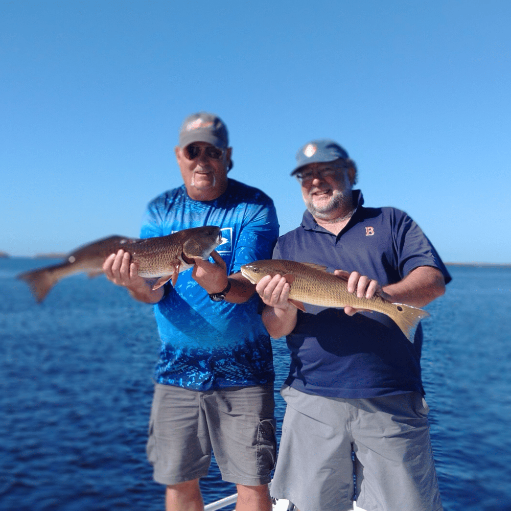 Light Tackle Backcountry - Up To 4 Anglers In Punta Gorda