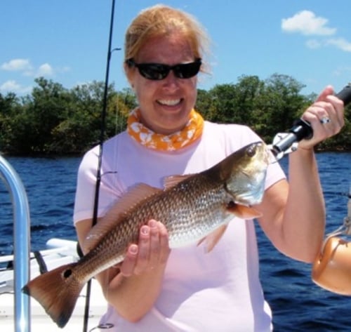 Light Tackle Backcountry - Up To 4 Anglers In Punta Gorda