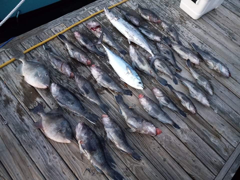 Full Day Bottomfishing Slam In Manteo