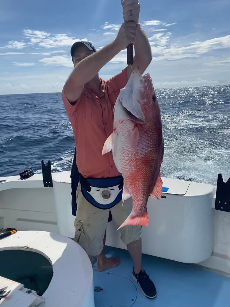 Destin Trolling & Bottom Fishing In Destin