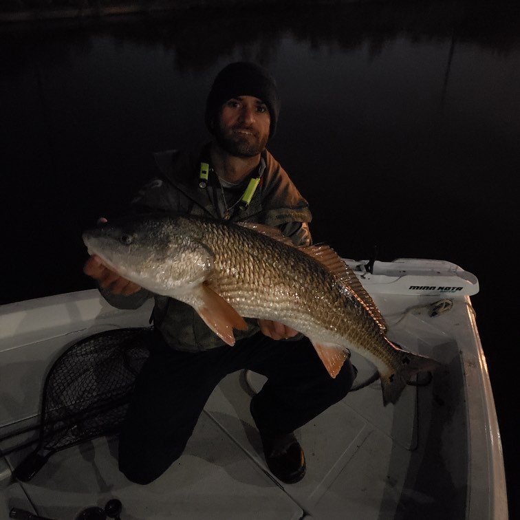 Night Fishing Trip - 2 PAX In Riverview